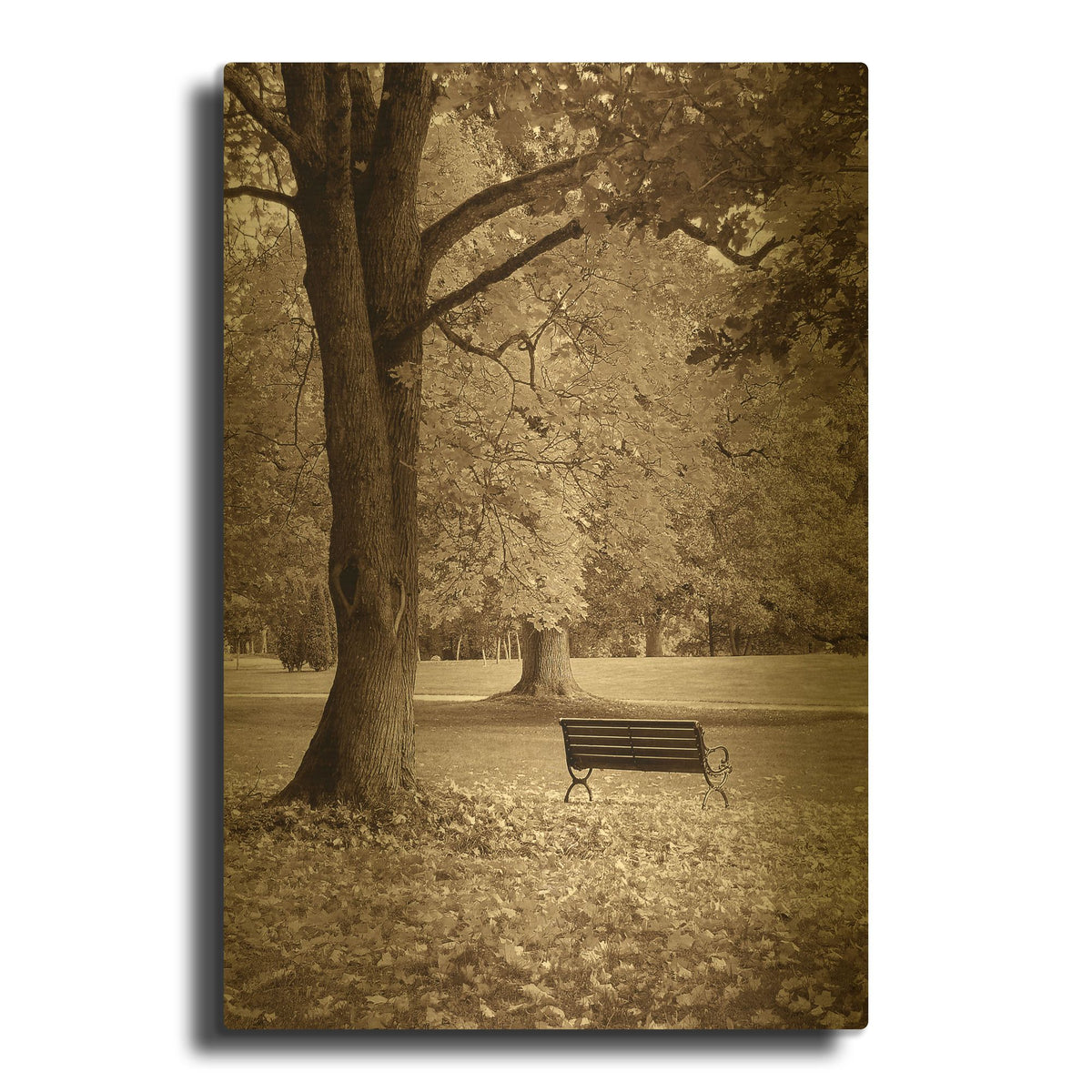 'Park View' By PhotoINC Studio Gold Metal Wall Art