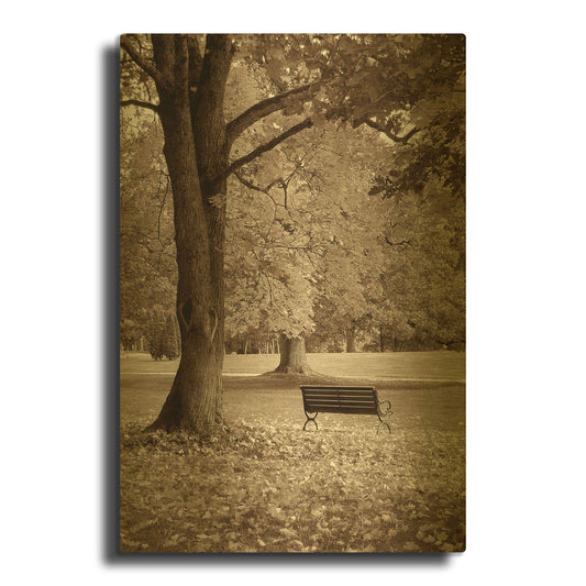 'Park View' By PhotoINC Studio Gold Metal Wall Art