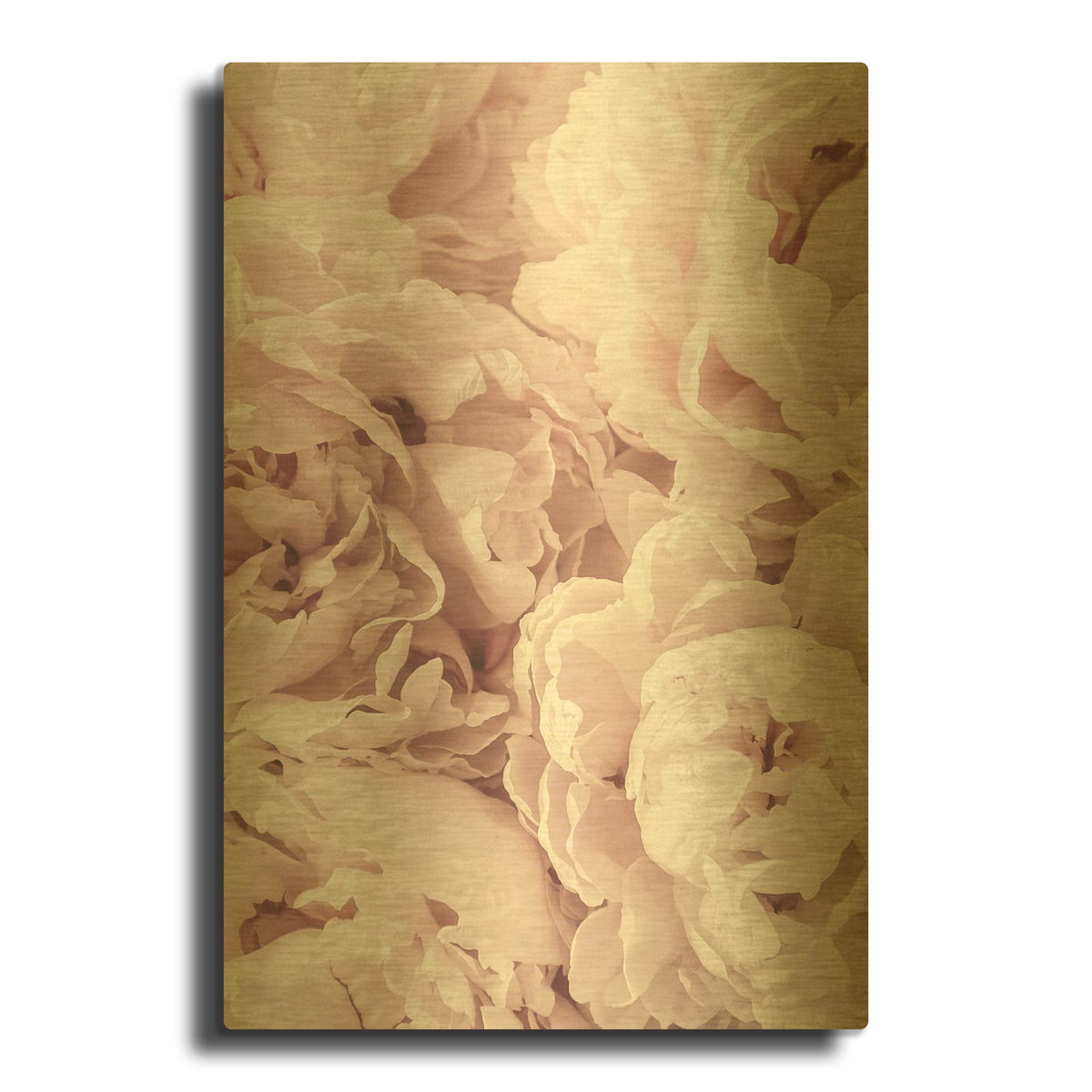 'Peony' By PhotoINC Studio Gold Metal Wall Art
