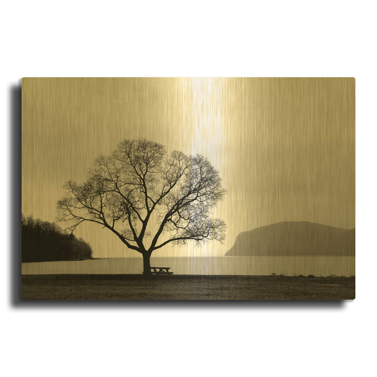 'Picnic Tree' By PhotoINC Studio Gold Metal Wall Art