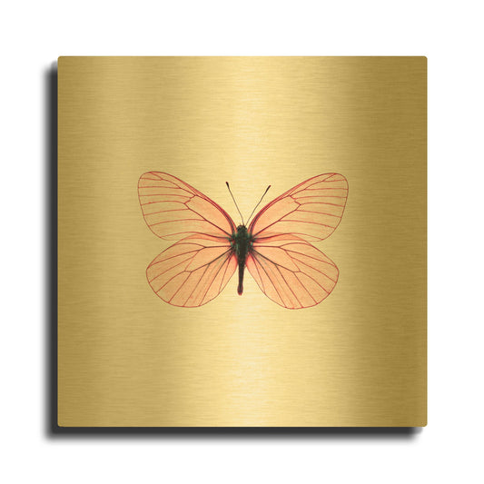 'Pink Butterfly' By PhotoINC Studio Gold Metal Wall Art