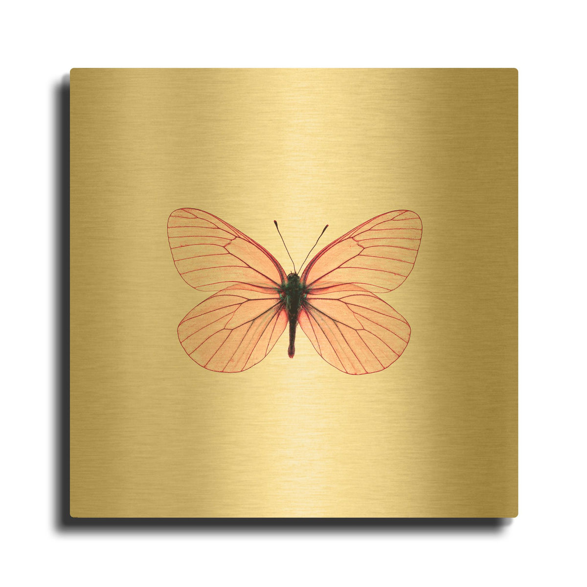 'Pink Butterfly' By PhotoINC Studio Gold Metal Wall Art