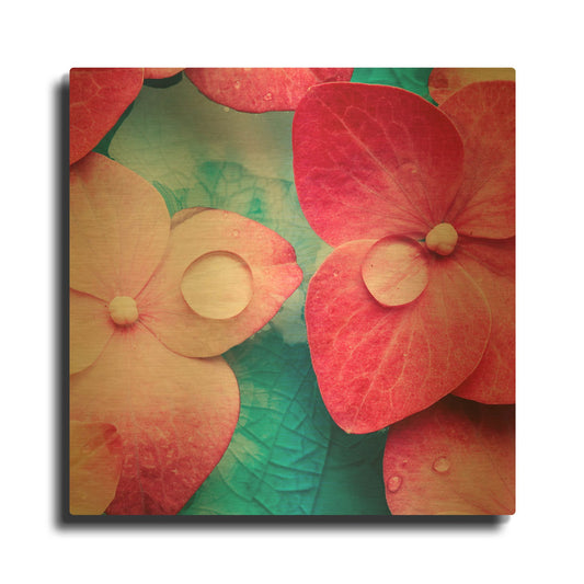 'Pink Flowers 3' By PhotoINC Studio Gold Metal Wall Art