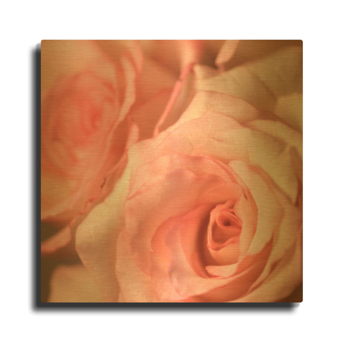 'Pink Rose 2' By PhotoINC Studio Gold Metal Wall Art