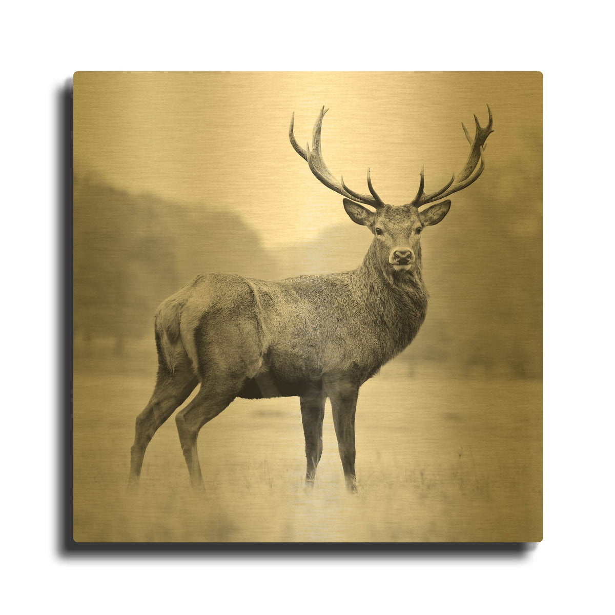 'Proud Deer' By PhotoINC Studio Gold Metal Wall Art