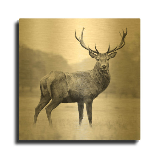 'Proud Deer' By PhotoINC Studio Gold Metal Wall Art