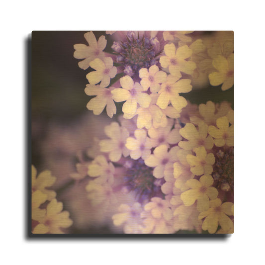 'Purple Flowers 2' By PhotoINC Studio Gold Metal Wall Art