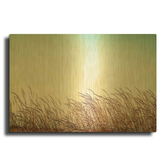 'Retro Grass' By PhotoINC Studio Gold Metal Wall Art