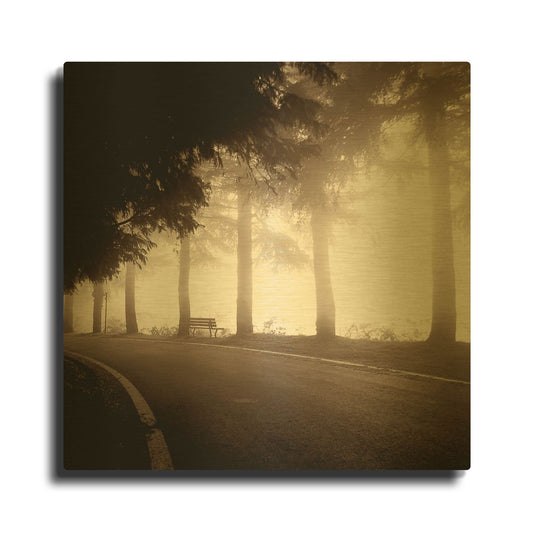 'Roadside Bench' By PhotoINC Studio Gold Metal Wall Art