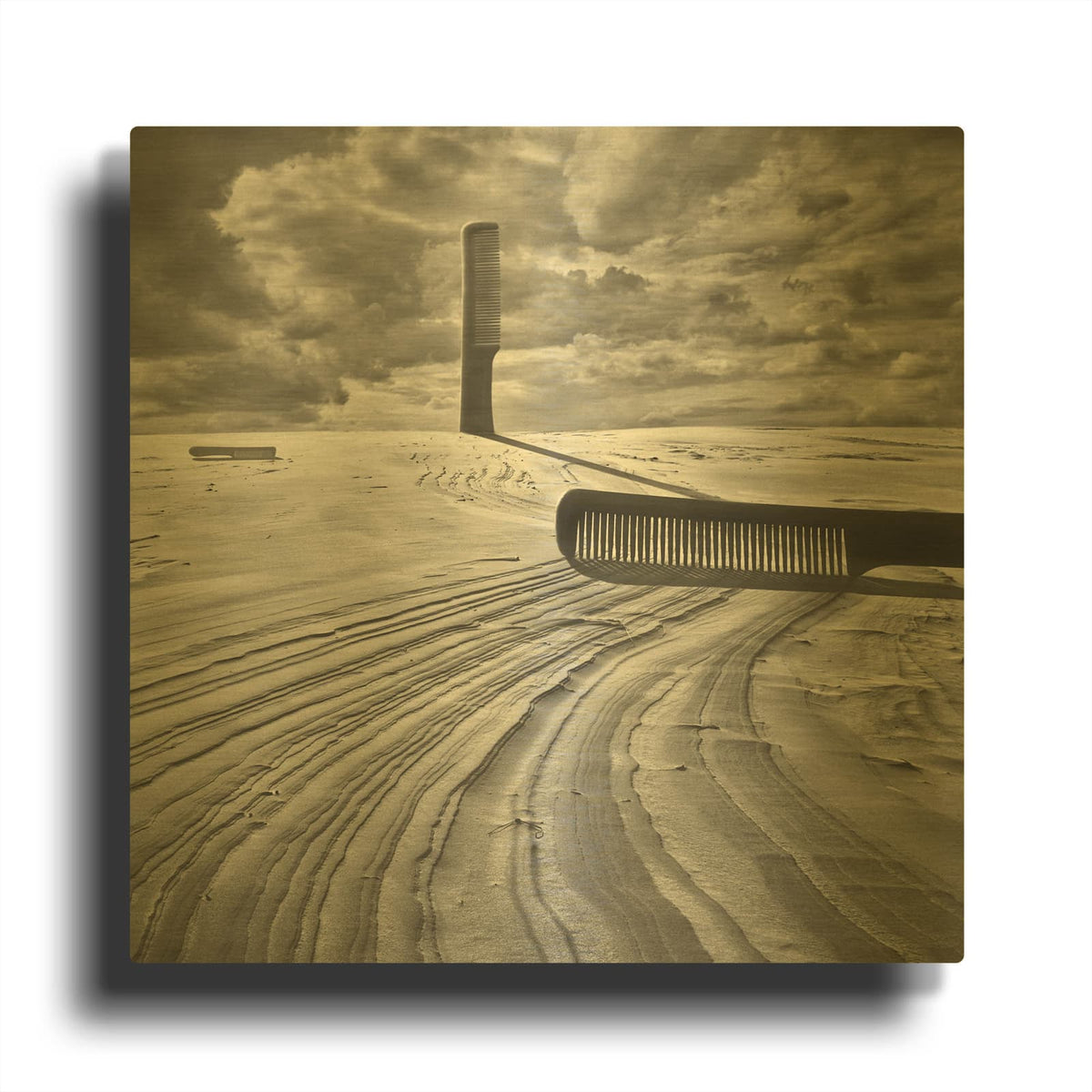 'Combing the Dunes' By Dariusz Klimczak Gold Metal Wall Art