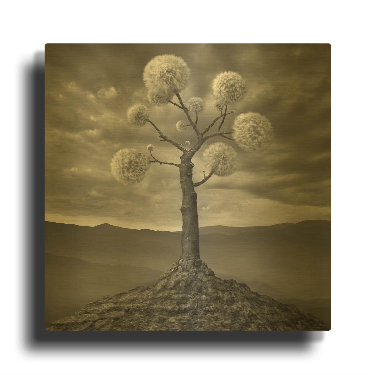 'Dandelion' By Dariusz Klimczak Gold Metal Wall Art