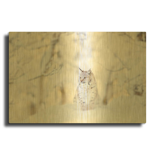 'Snow Lynx' By PhotoINC Studio Gold Metal Wall Art