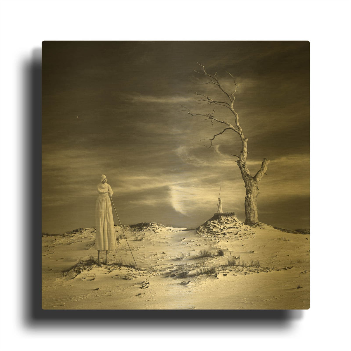 'Daydream' By Dariusz Klimczak Gold Metal Wall Art