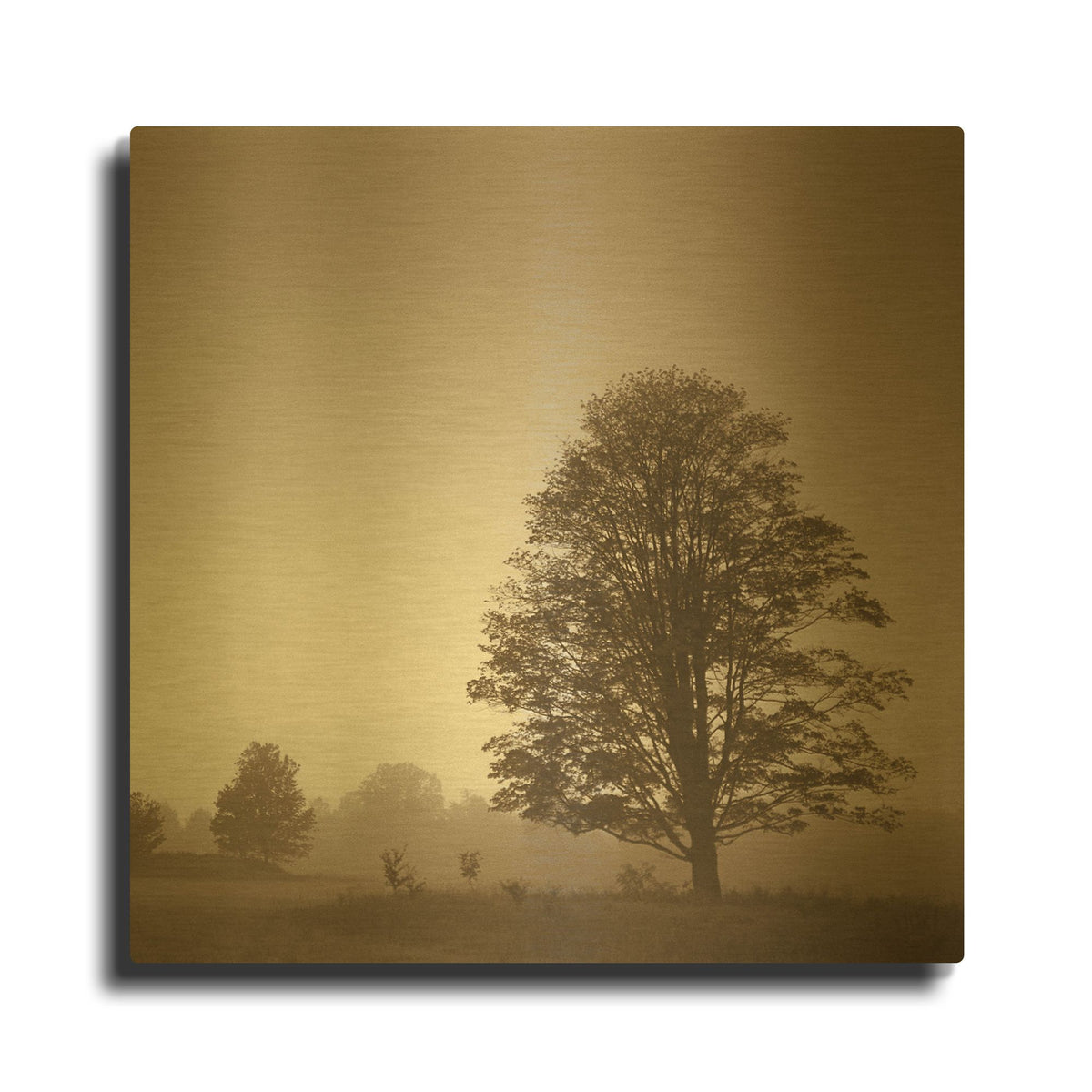 'Stillness' By PhotoINC Studio Gold Metal Wall Art