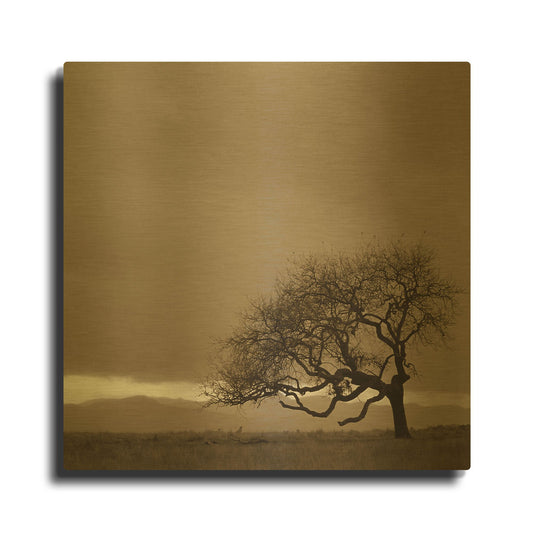 'Survivor' By PhotoINC Studio Gold Metal Wall Art