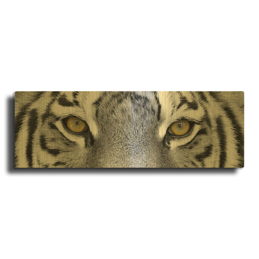 'Tiger' By PhotoINC Studio Gold Metal Wall Art
