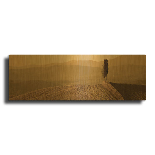 'Toscana Landscape 1' By PhotoINC Studio Gold Metal Wall Art