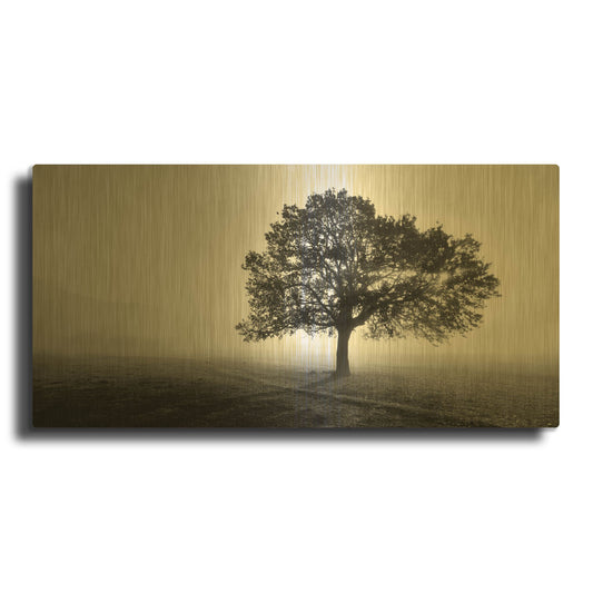 'Tree In Mist' By PhotoINC Studio Gold Metal Wall Art