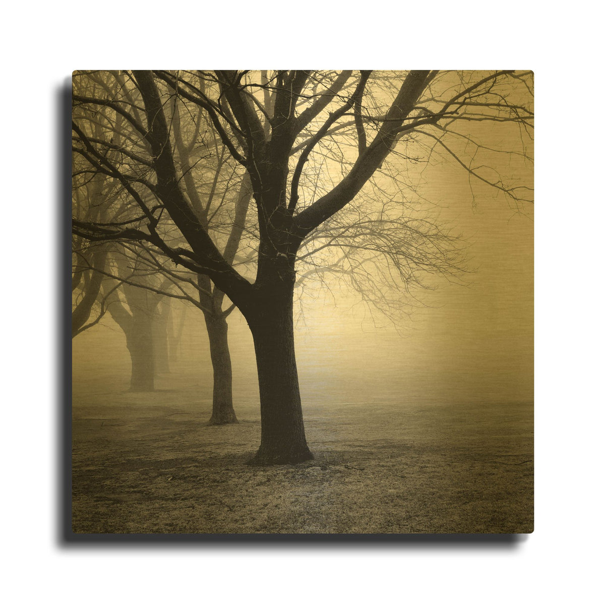 'Trees' By PhotoINC Studio Gold Metal Wall Art