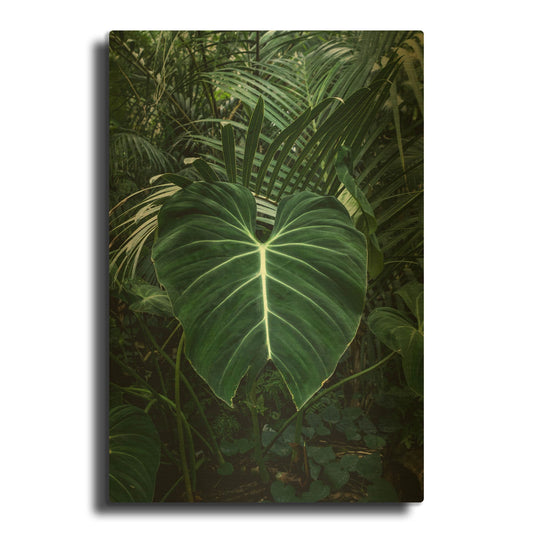 'Tropical 3' By PhotoINC Studio Gold Metal Wall Art