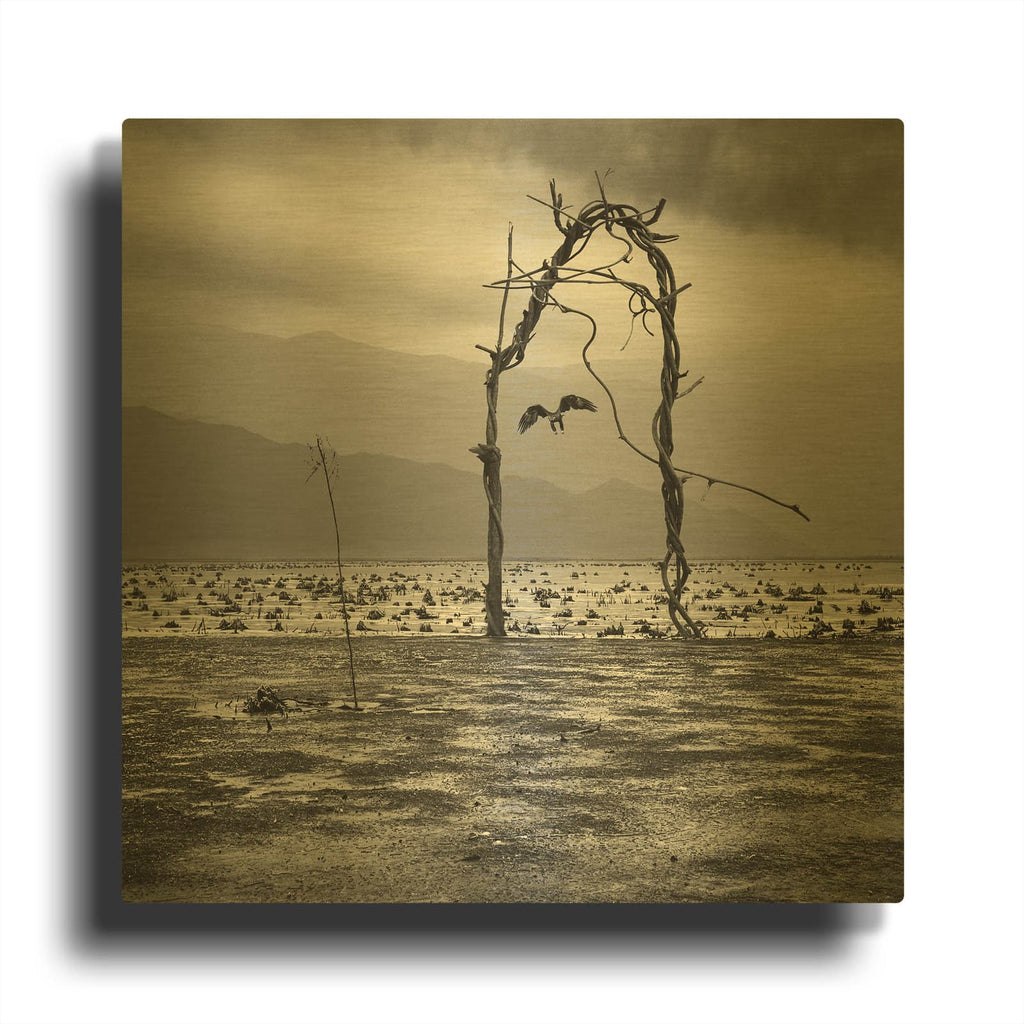'Eagle' By Dariusz Klimczak Gold Metal Wall Art