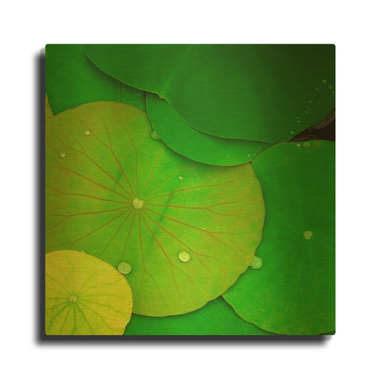 'Water Lily' By PhotoINC Studio Gold Metal Wall Art