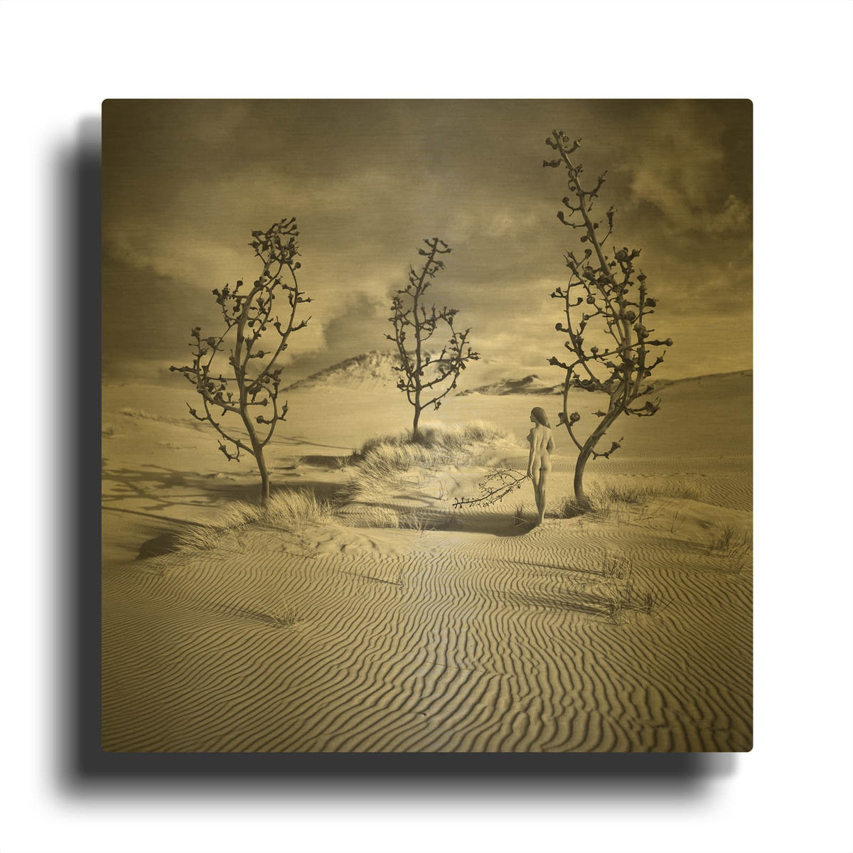 'Egarden' By Dariusz Klimczak Gold Metal Wall Art