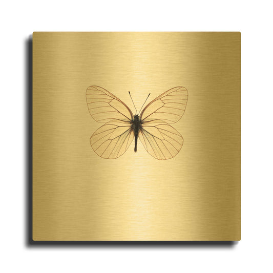 'White Butterfly' By PhotoINC Studio Gold Metal Wall Art