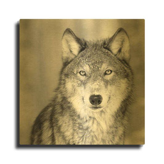 'Wolf' By PhotoINC Studio Gold Metal Wall Art