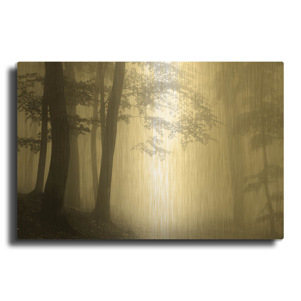 'Woods 1' By PhotoINC Studio Gold Metal Wall Art