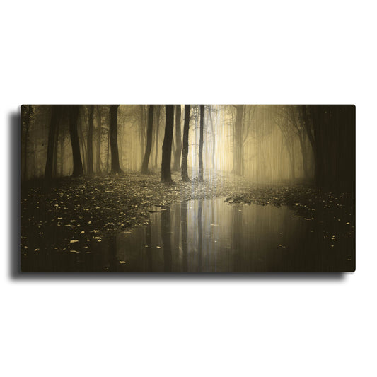 'Woods 2' By PhotoINC Studio Gold Metal Wall Art