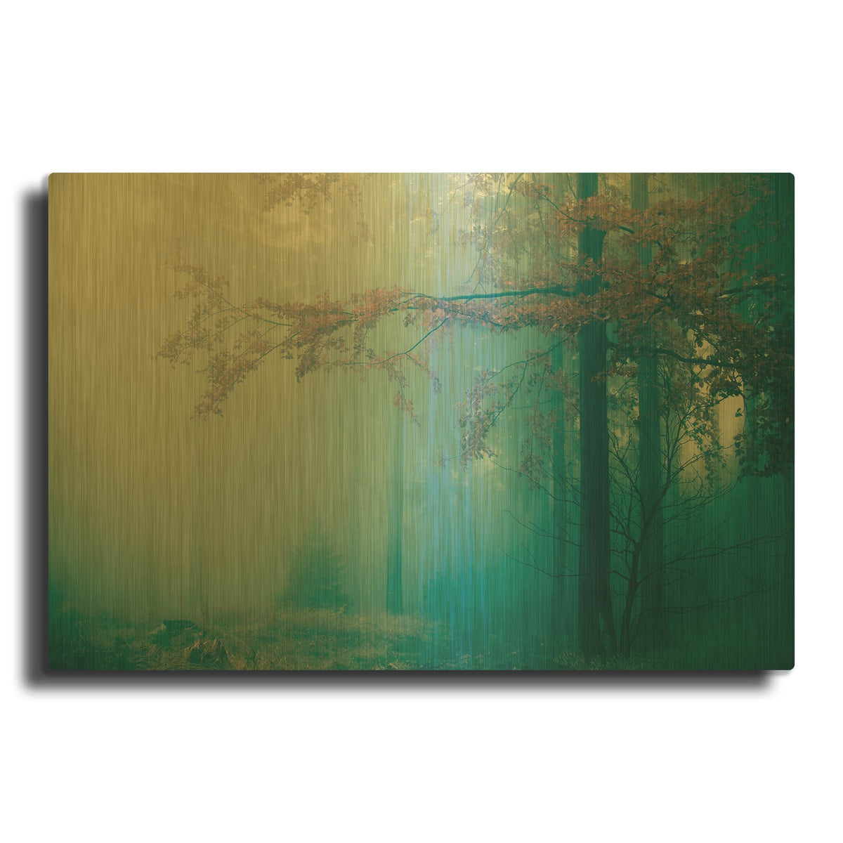 'Woods 3' By PhotoINC Studio Gold Metal Wall Art