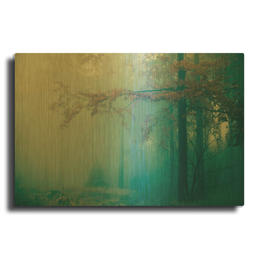 'Woods 3' By PhotoINC Studio Gold Metal Wall Art