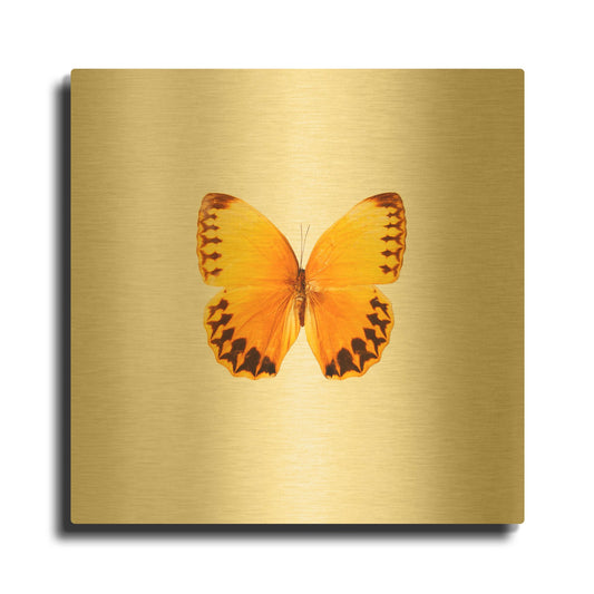 'Yellow Butterfly 2' By PhotoINC Studio Gold Metal Wall Art