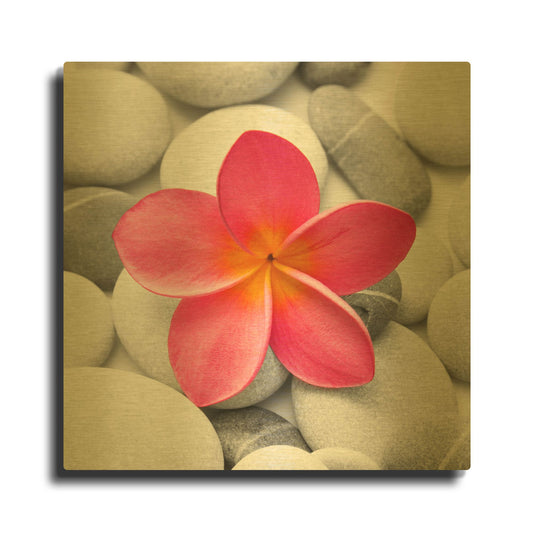 'Zen Flower' By PhotoINC Studio Gold Metal Wall Art