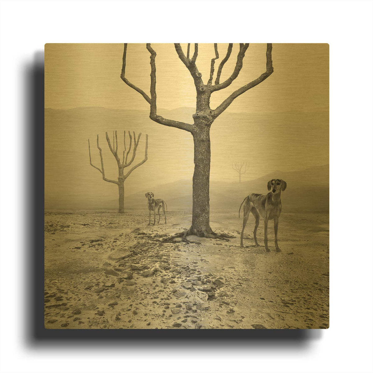 'Dogs in Fog' By Dariusz Klimczak Gold Metal Wall Art