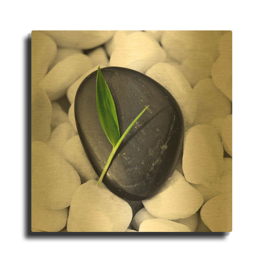 'Zen Stone' By PhotoINC Studio Gold Metal Wall Art