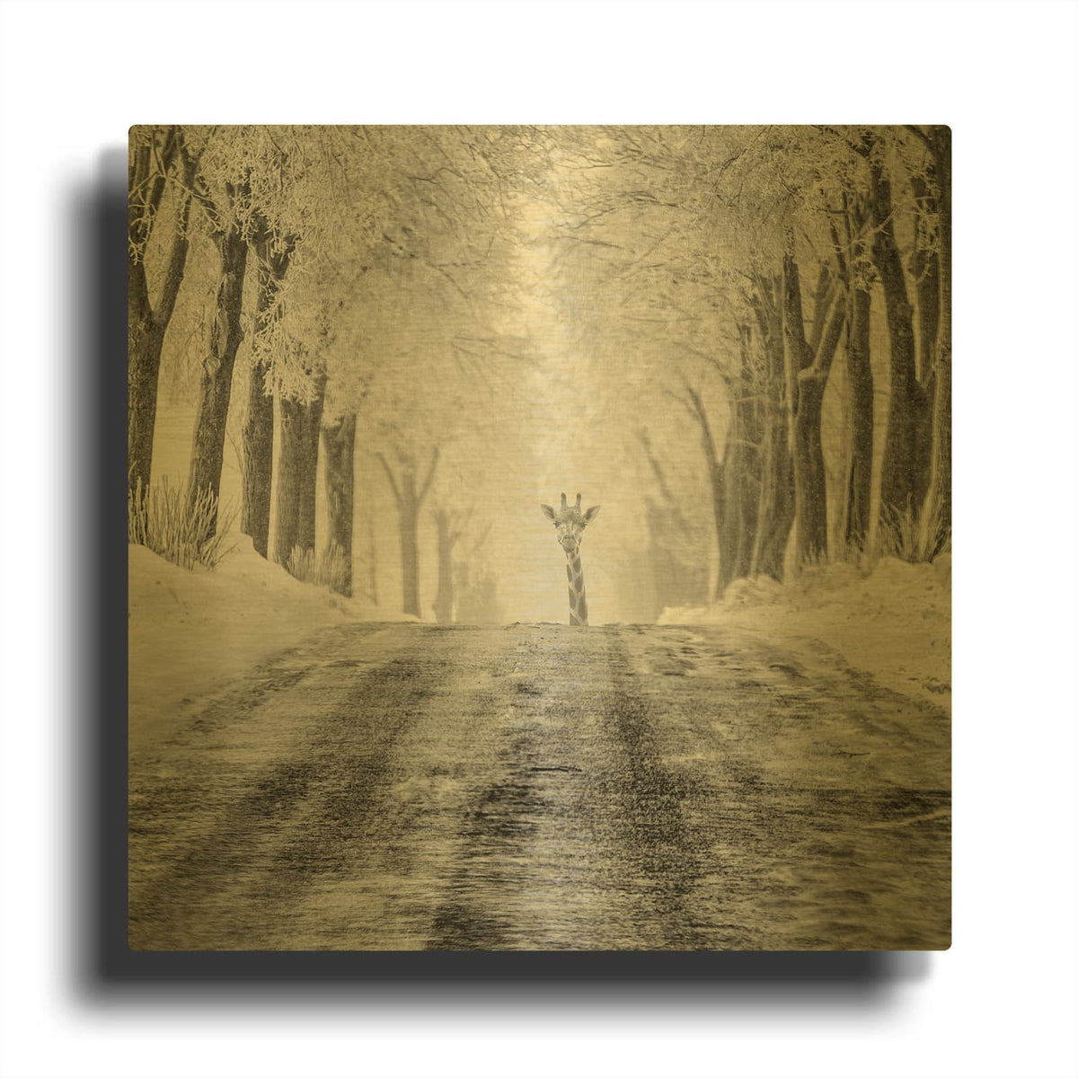 'Surprise' By Dariusz Klimczak Gold Metal Wall Art