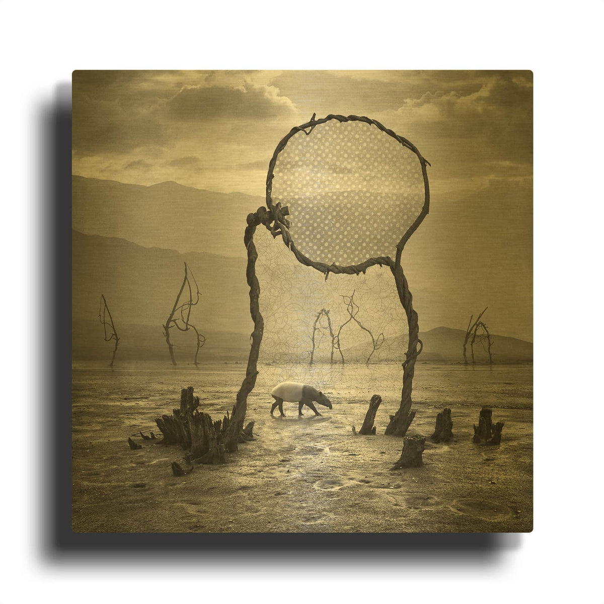 'Tapir' By Dariusz Klimczak Gold Metal Wall Art
