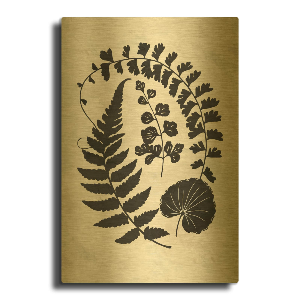 'Botanica 2' By Suzanne Nicoll Gold Metal Wall Art