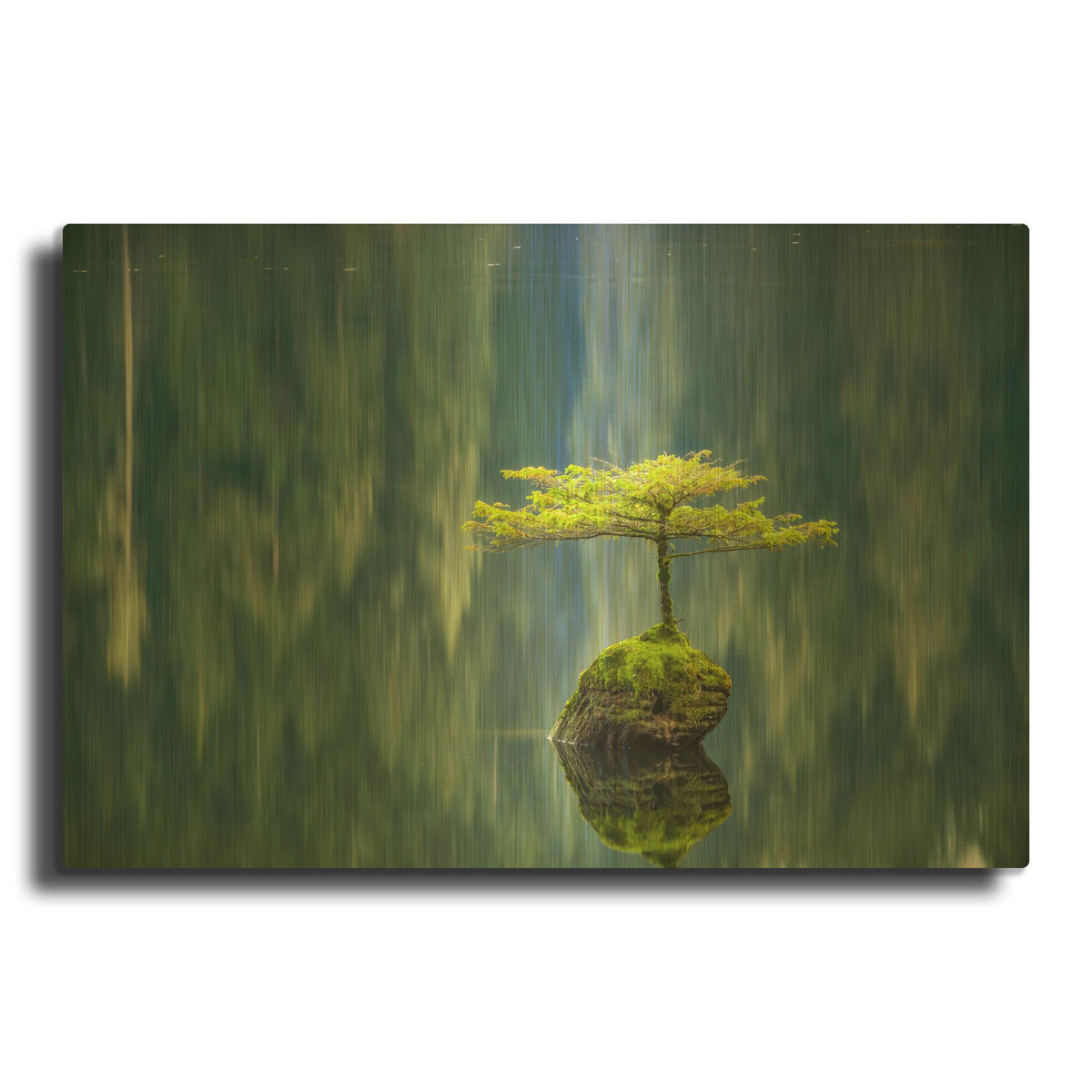 'Fairy Lake Bonsai' By Tim Oldford Gold Metal Wall Art