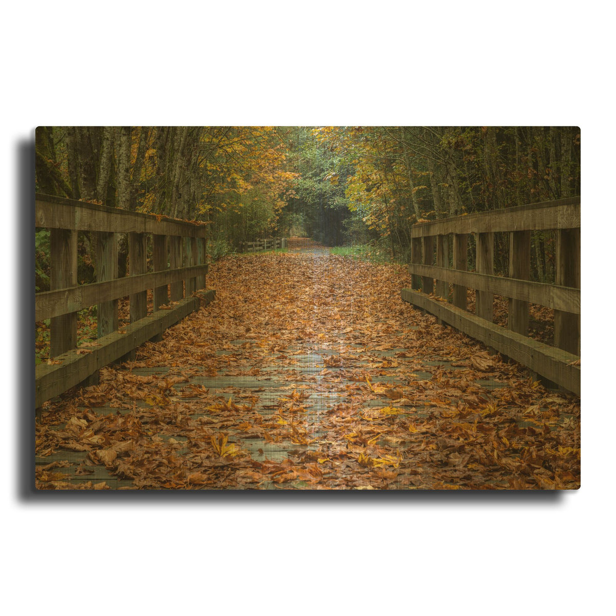 'Fall On The Goose Victoria' By Tim Oldford Gold Metal Wall Art