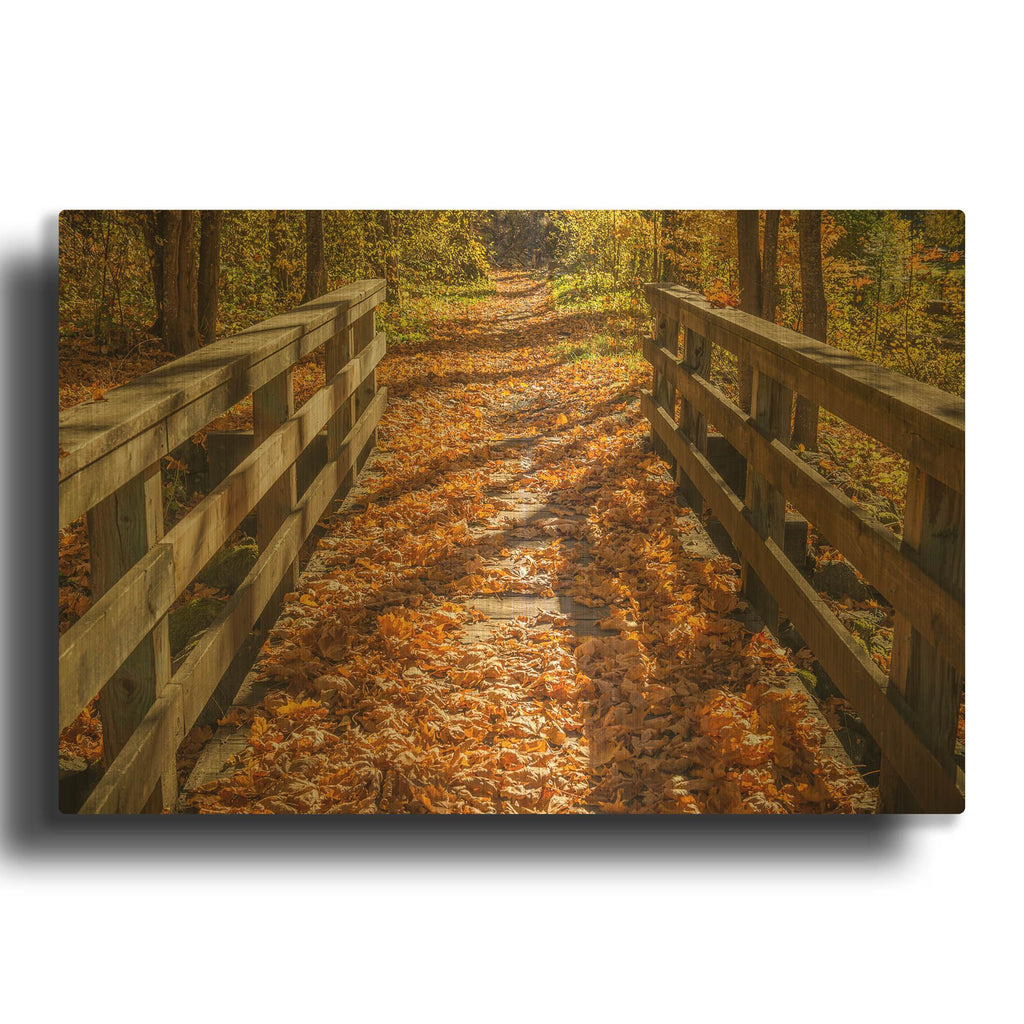 'Fall On The Footbridge' By Tim Oldford Gold Metal Wall Art
