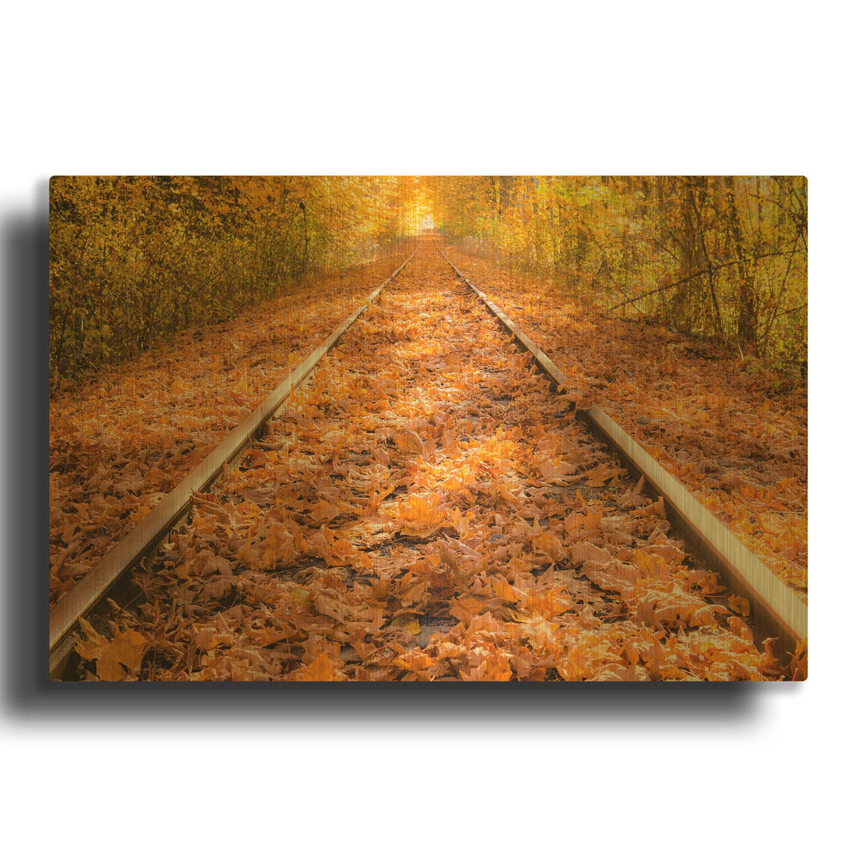 'Train Tracks In The Fall' By Tim Oldford Gold Metal Wall Art