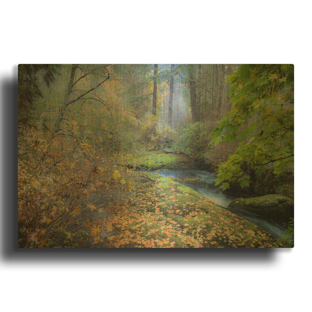'Snow In Fall' By Tim Oldford Gold Metal Wall Art