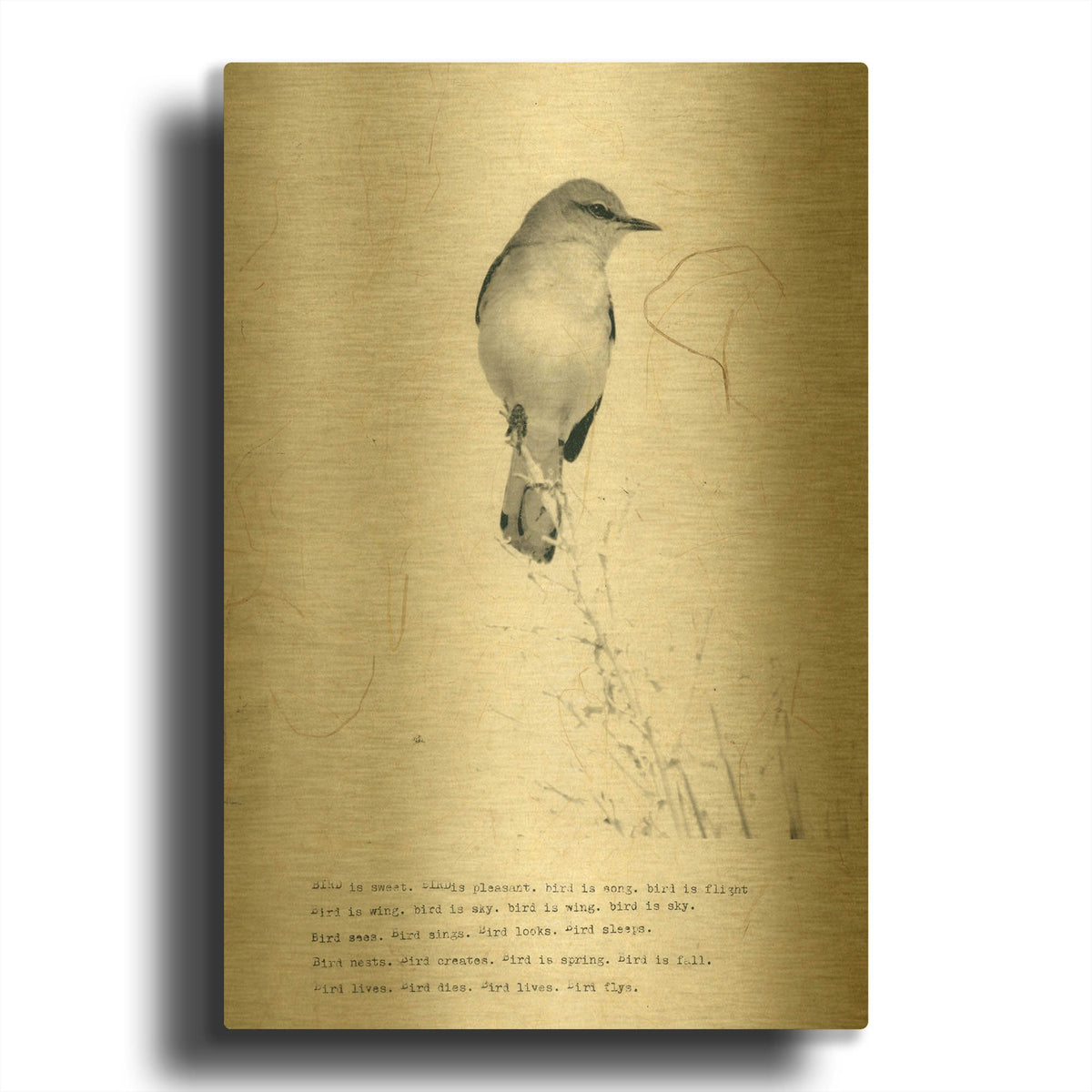 'Bird Is Sweet' By TypeLike Gold Metal Wall Art