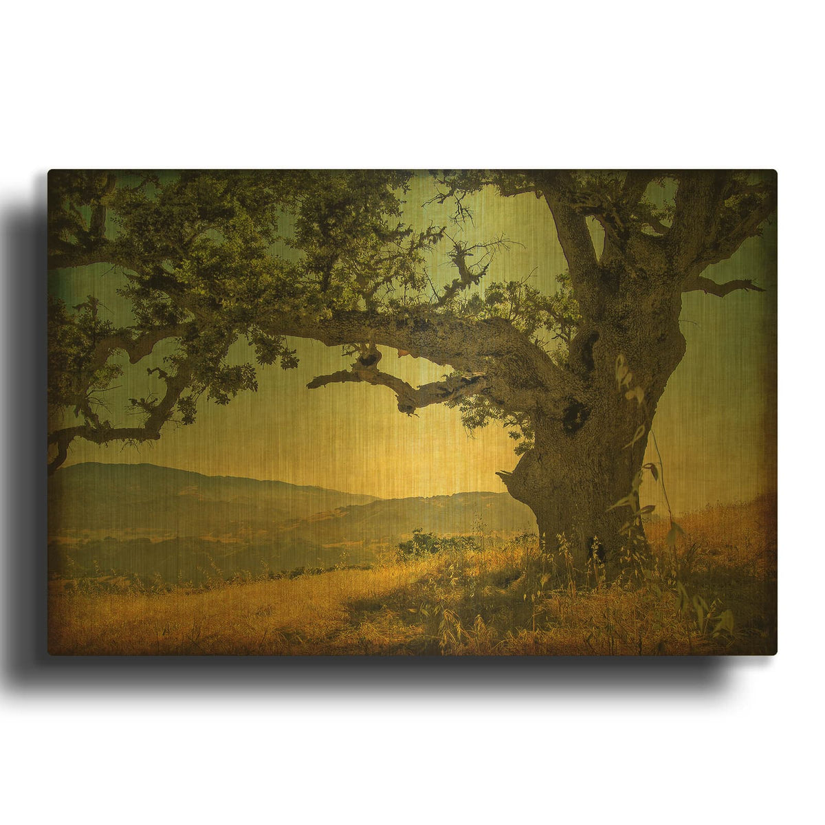 'Blue Oak Hilltop' By William Guion Gold Metal Wall Art