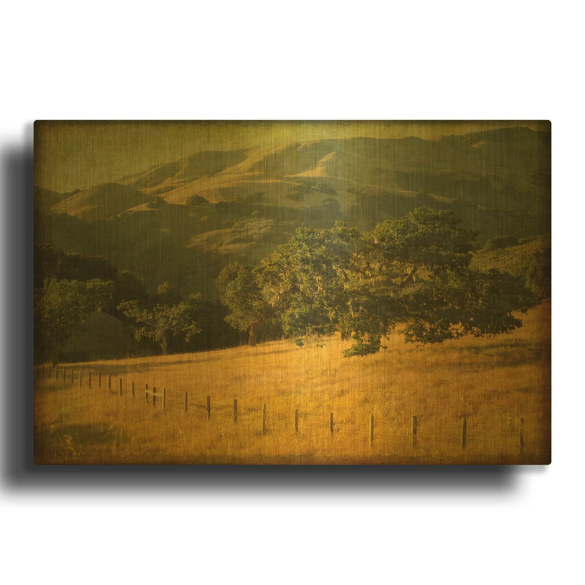 'Oak And Fence' By William Guion Gold Metal Wall Art