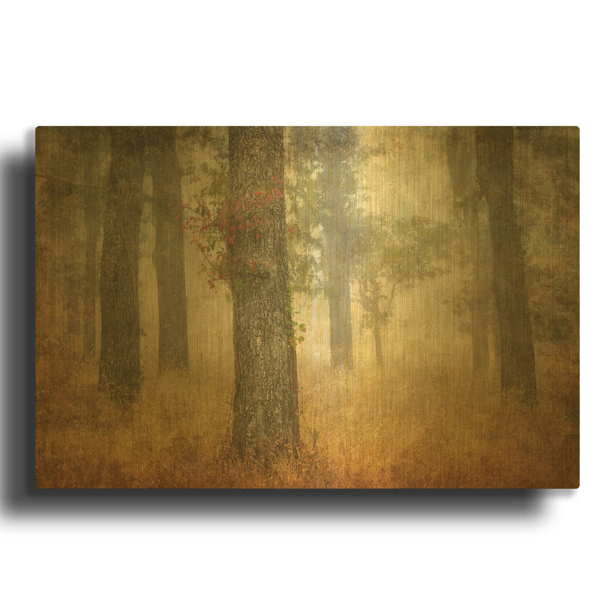 'Oak Grove In Fog' By William Guion Gold Metal Wall Art