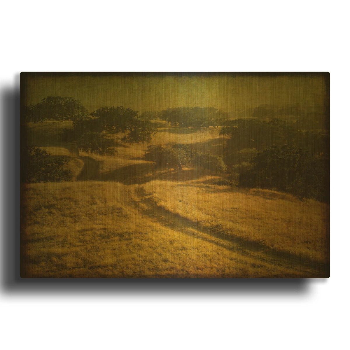 'Ranch Road And Oak Savannah' By William Guion Gold Metal Wall Art